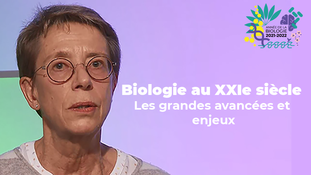 rencontres enseignants chercheurs aix marseille 2013